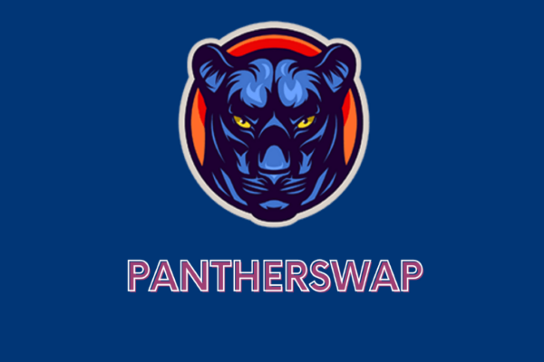 PantherSwap Explanation
